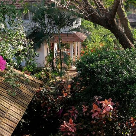 Gaia'S Garden Guest House Ауровиль Экстерьер фото